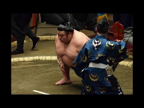 Final wrestler messages from 2020 (Takakeisho, Asanoyama, Shodai etc)
