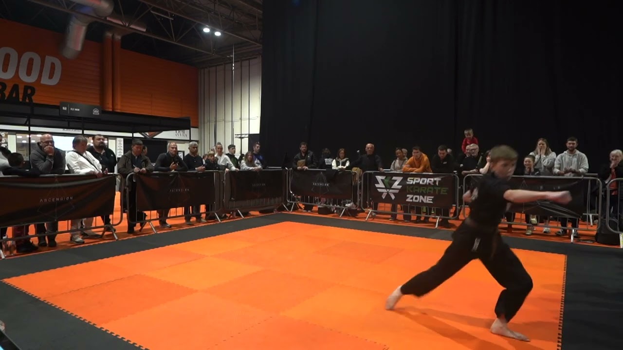 Nate Lowe Musical Forms - Ascension Volume 2 Extreme Martial Arts Tournament background
