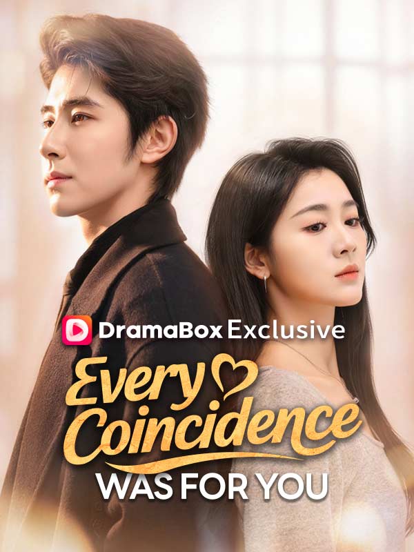 Every Coincidence Was For You poster