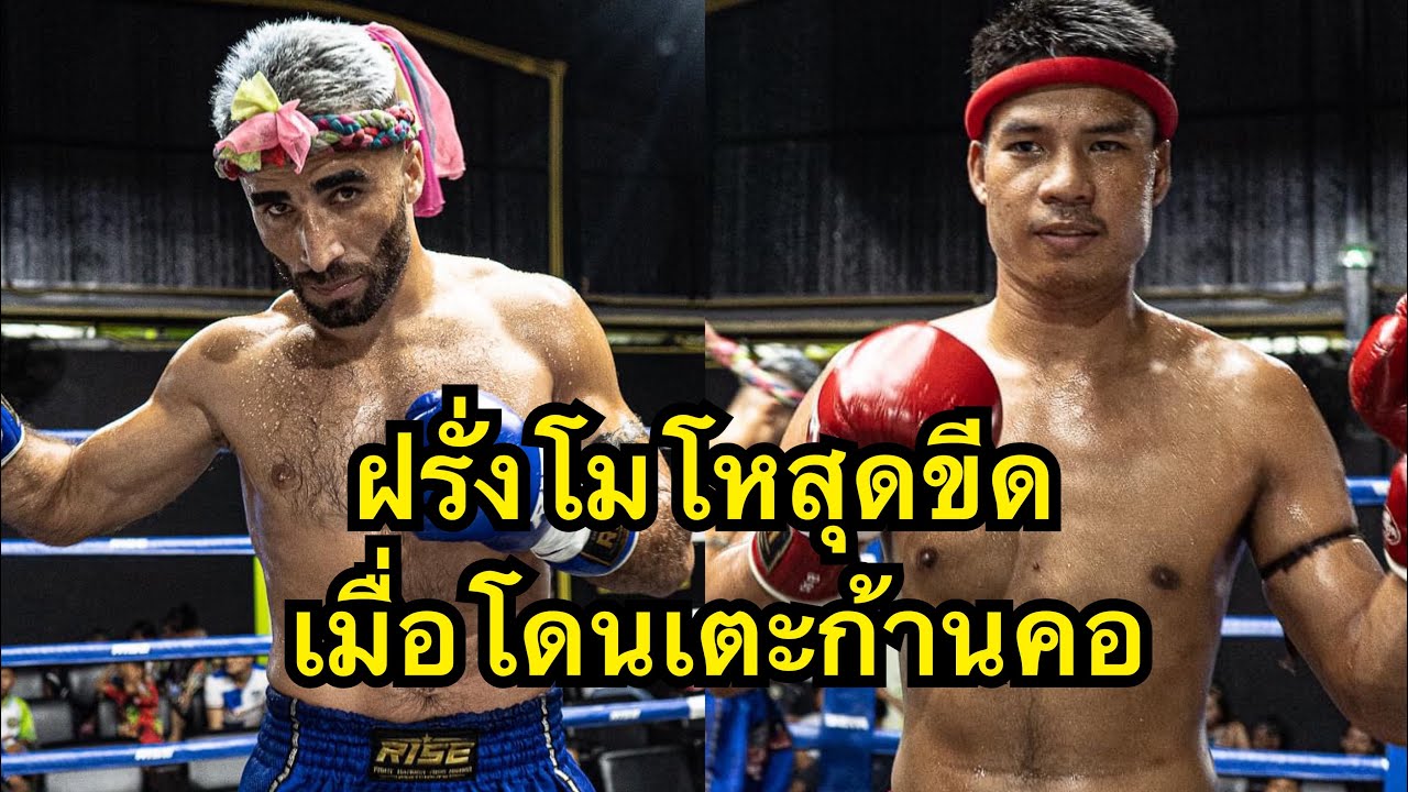 นักมวยฝรั่งโมโหโดนเตะก้านคอต่อยคู่ชกน็อคคาที่ เด่นดนัยเล็ก ไทเกอร์มวยไทย vs Shahin Lion MMA backdrop