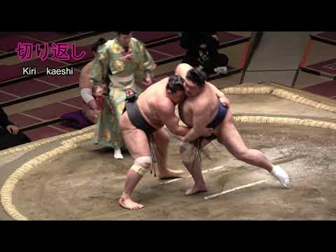 Sumo leg-trips explained!