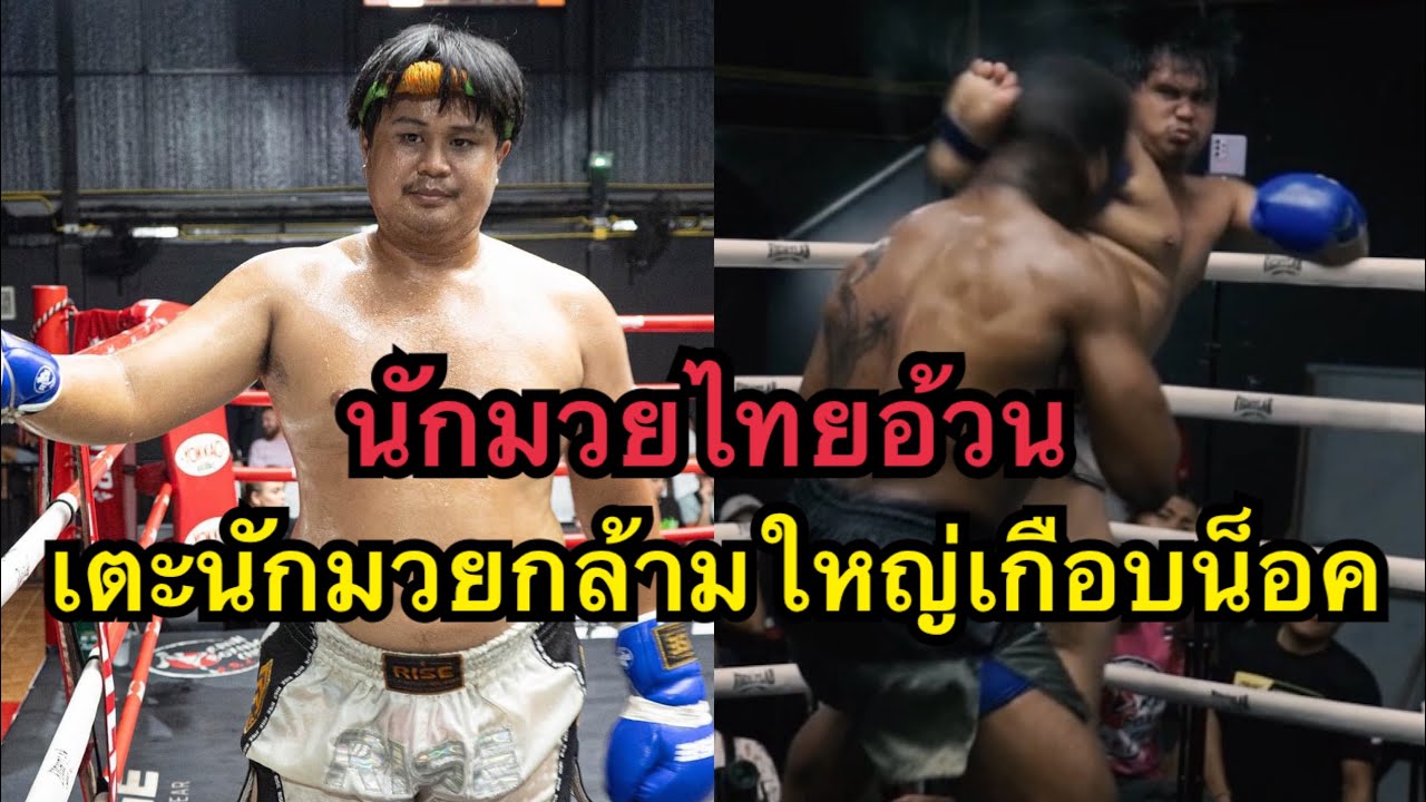 เหลือเชื่อ นักมวยอ้วนเตะก้านคอนักมวยฝรั่งยักษ์เกือบน็อค Alexander Tiger MT vs โชคนำชัย ครูโอ๋มวยไทย