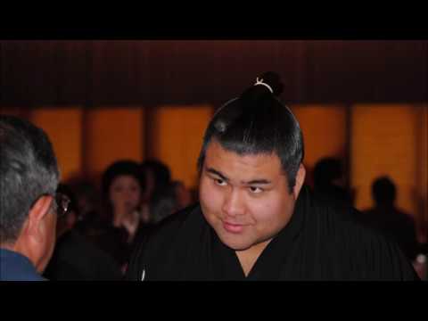 A sumo promotion party in pictures: where the power lies background