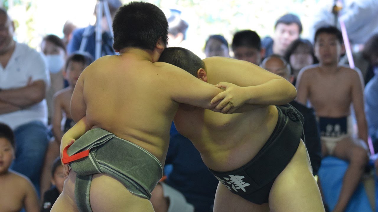 A day at the Kashiwa Junior Sumo Tournament background
