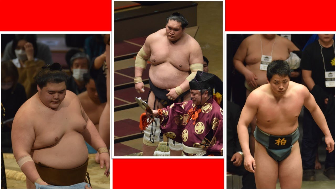 Sumo News (Dec 24th): Terunofuji, Oho, Wakamotoharu, Tebakari turns pro! background