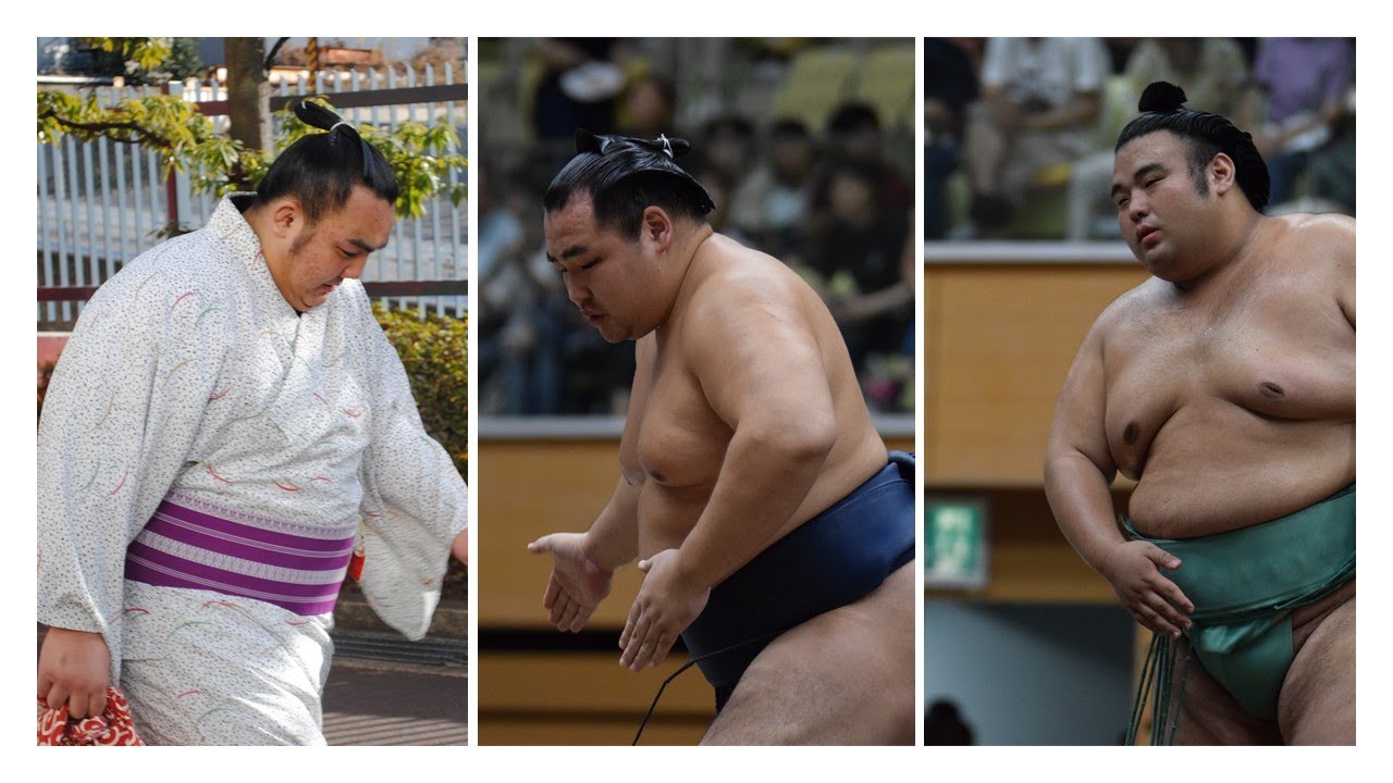 Socially-distanced sumo (6): July 2020 Injury File background