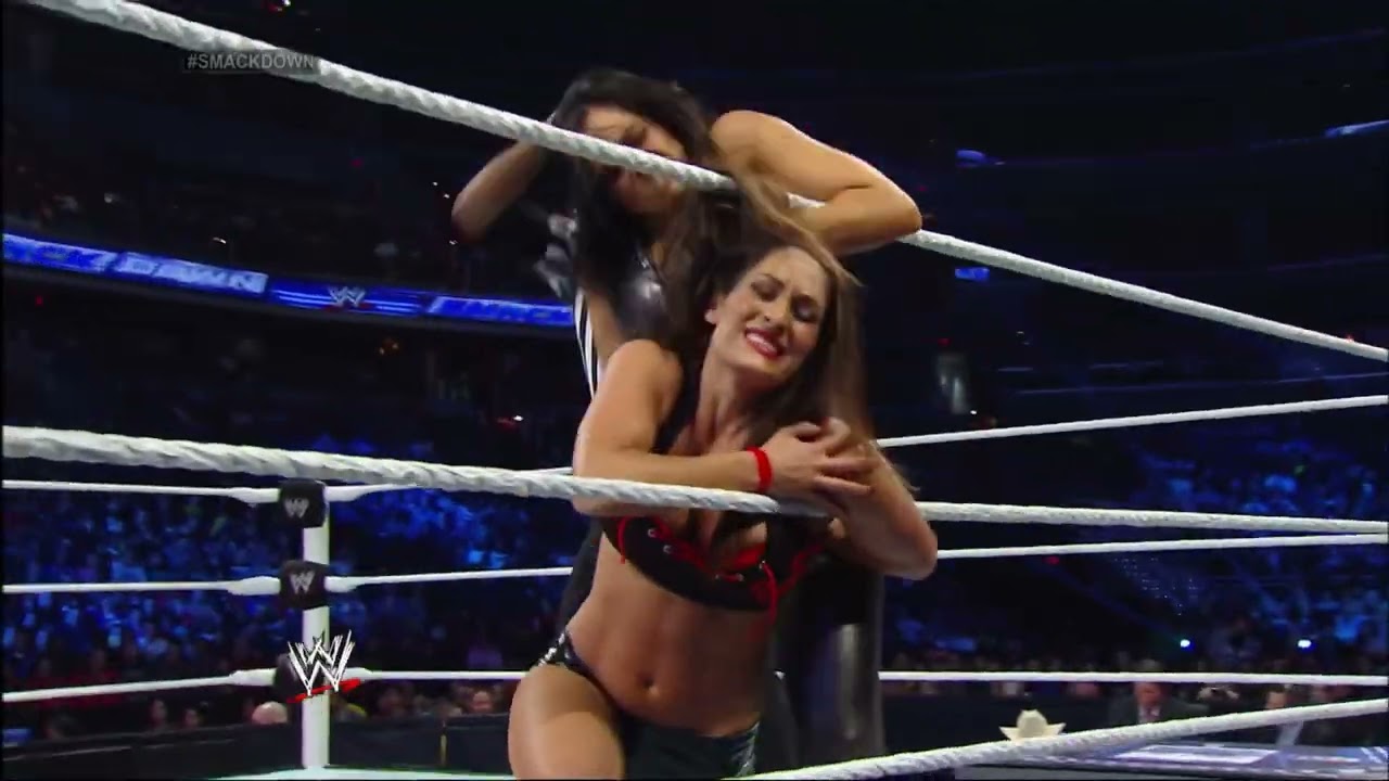 1080pHD WWE Smackdown 01/03/14 Aksana vs Nikki Bella