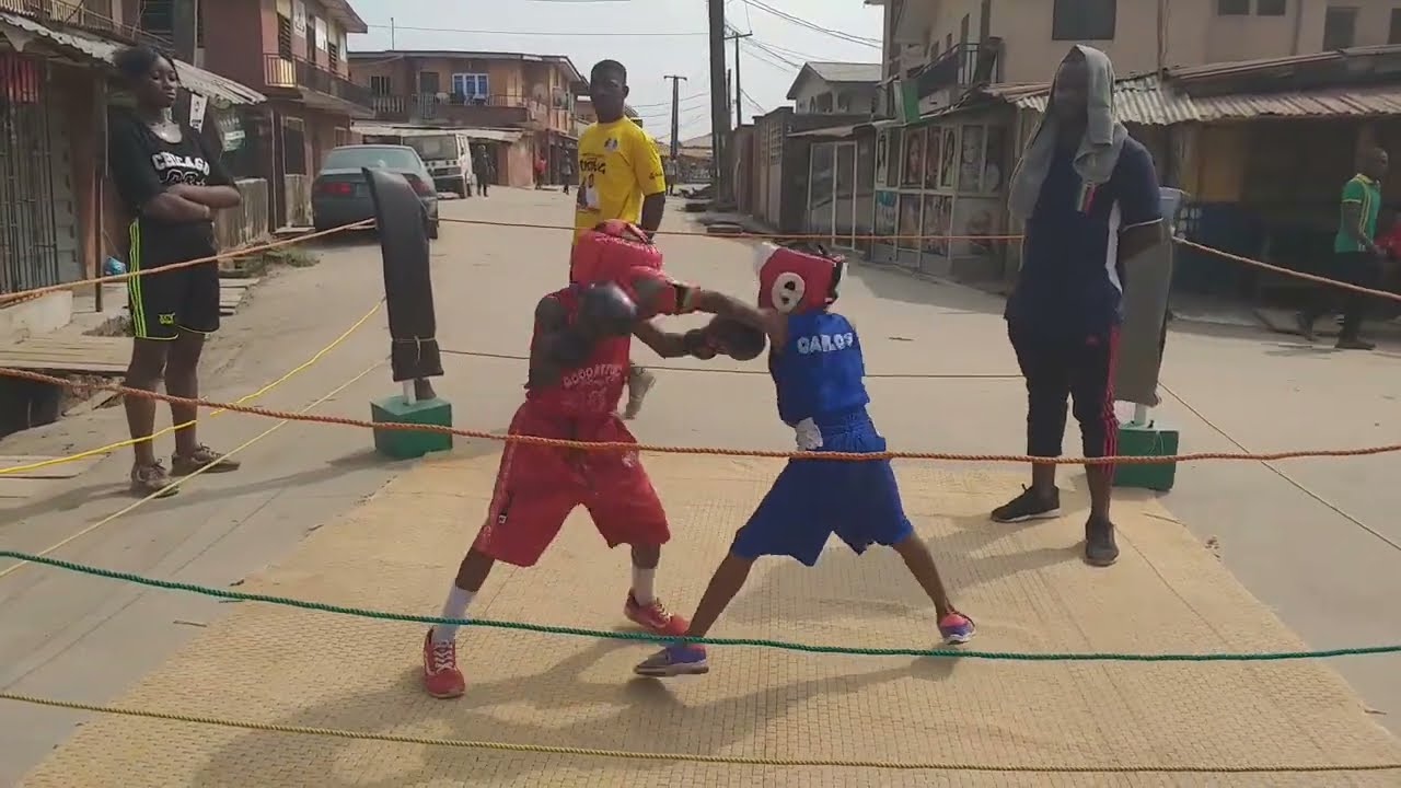 COMBO BOXING SPARRING. backdrop