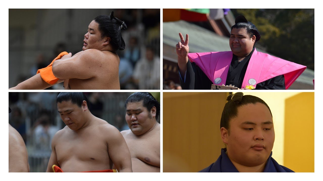 Socially-distanced sumo (7): July 2020 success stories background
