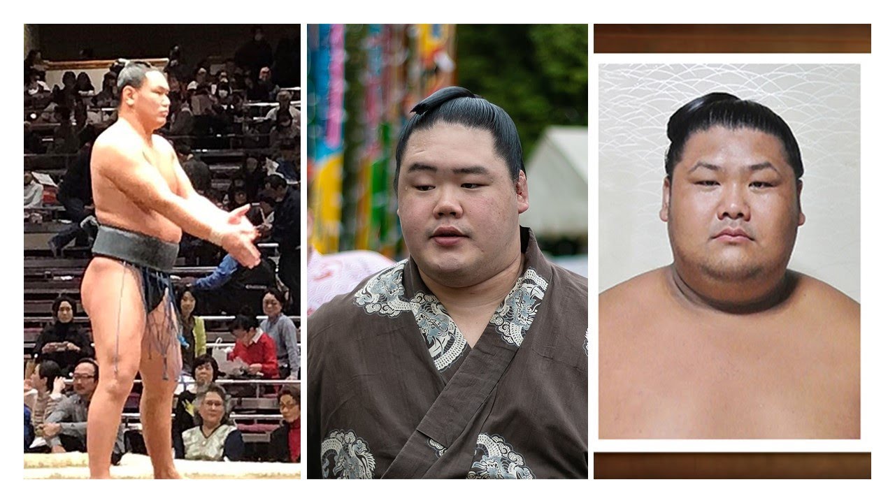 Socially-distanced sumo (9): Meisei wins division two background