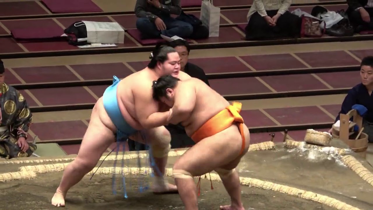 Kotonowaka: Can father and son achieve the yokozuna dream?