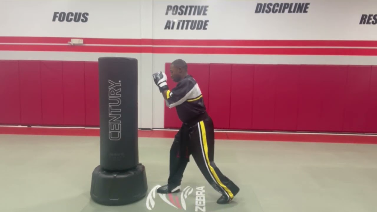 Defensive Side Kick Drills by Kameren Ali - The Skill Zone background