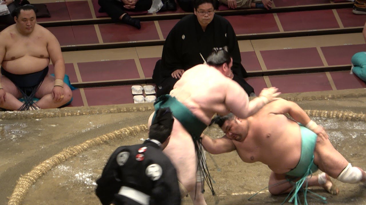 The strangest ways to lose a sumo bout background