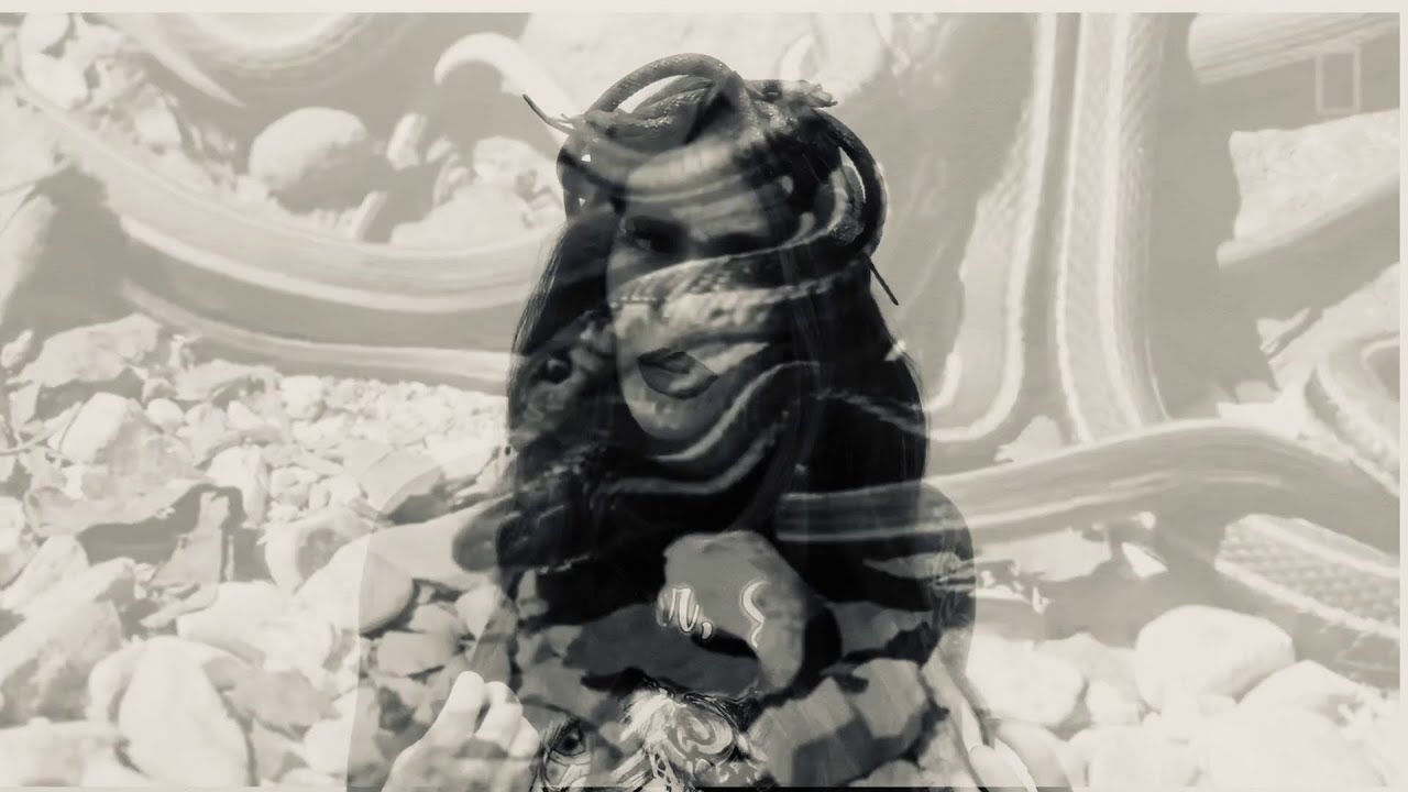 The Snakes Know All! background