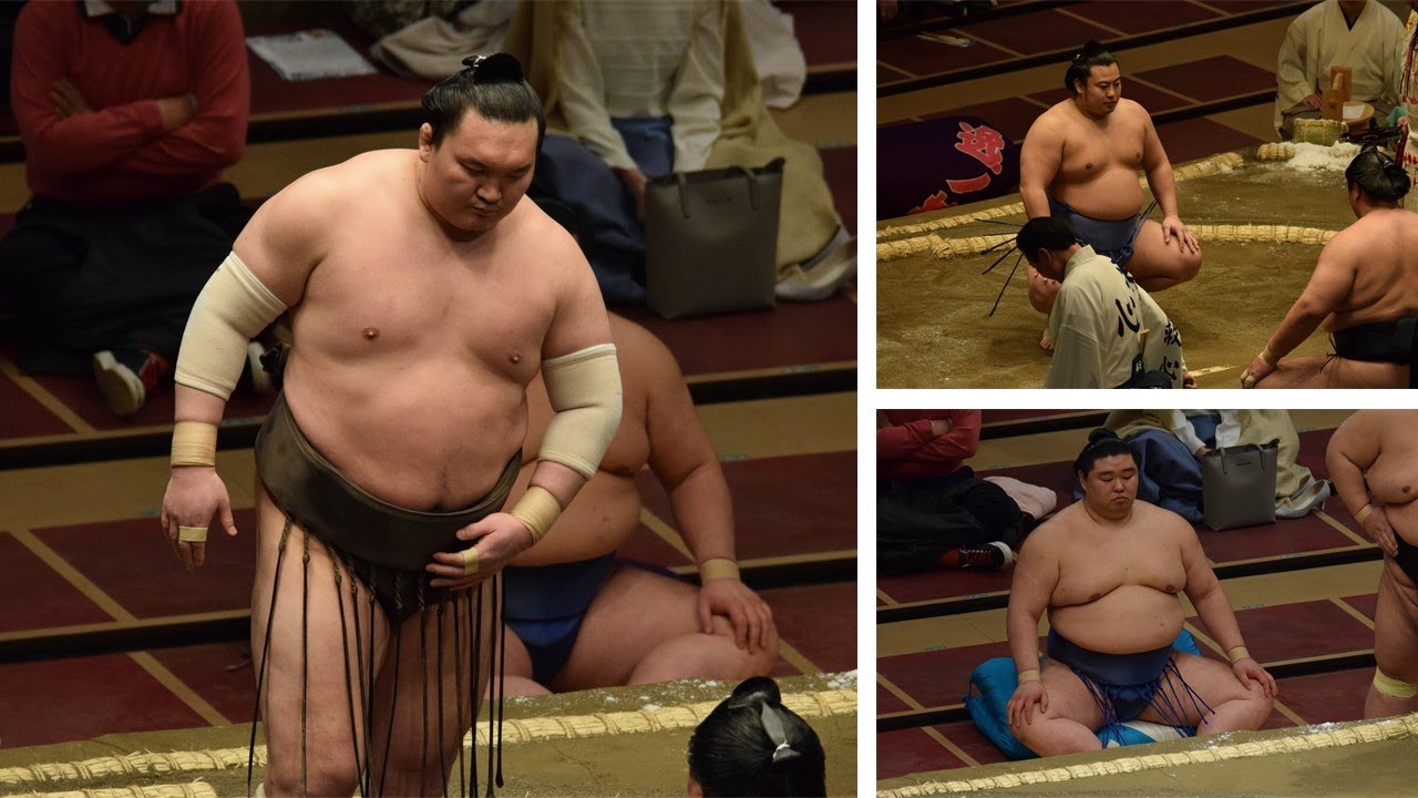 Hakuho resumes training + other stable reports background