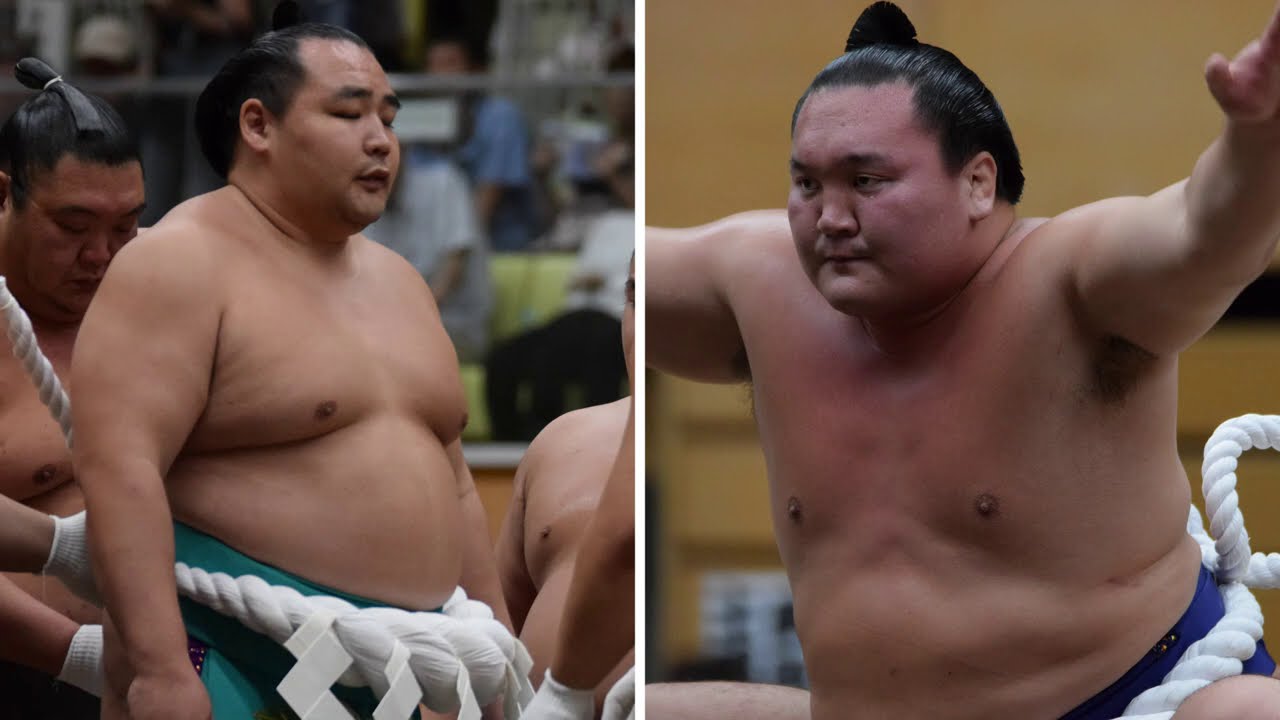 Hakuho expected to withdraw