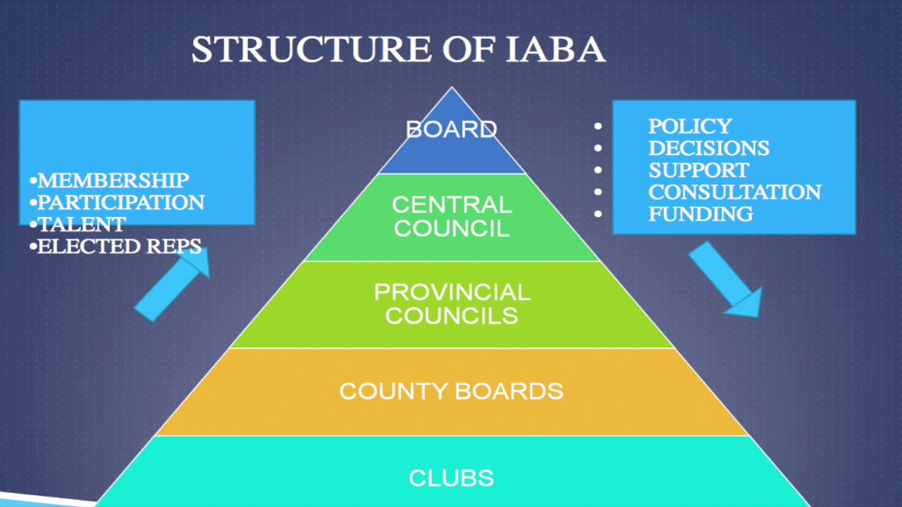 IABA - a guide to boxing's 2017 rulebook. backdrop