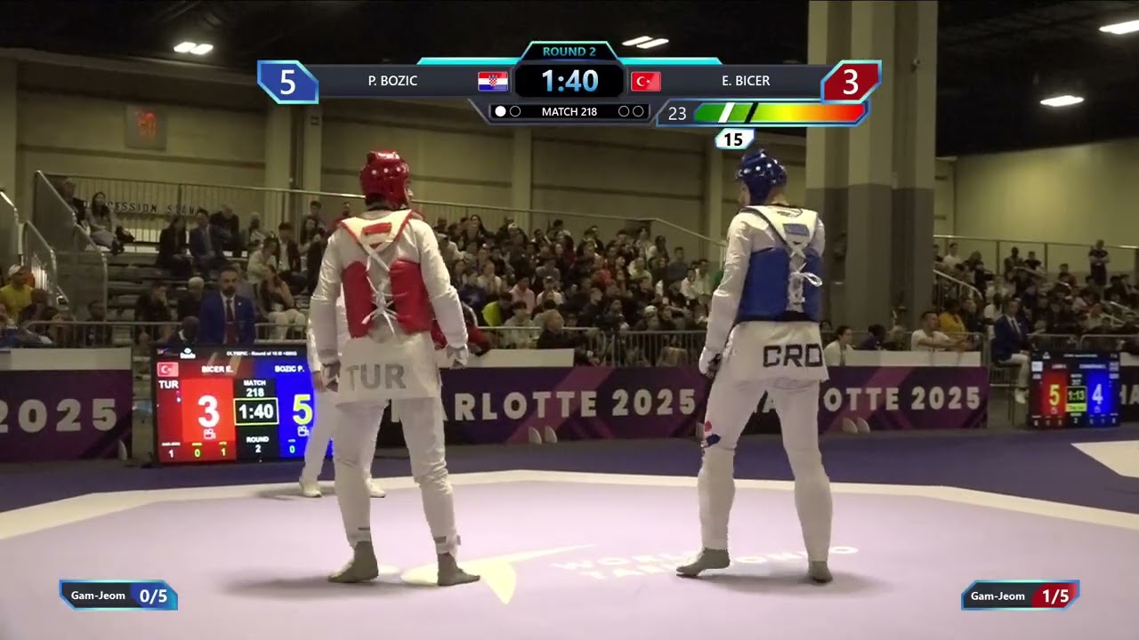 218 Round of 16 M +80kg CRO P BOZIC TUR E BICER PGM background