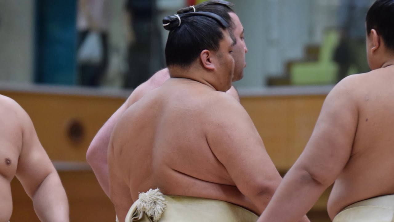 May 2020 sumo cancelled (大相撲夏場所中止) background