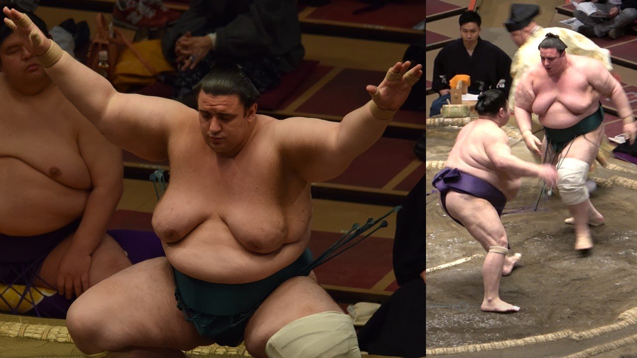 Great sumo stories #5: Aoiyama rolls back the years background