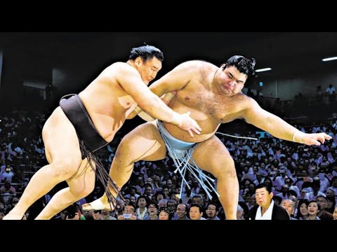 The Top Sumo Wrestler EVER background