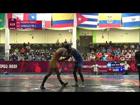 1/4 GR - 67 kg: C. FUENTES PERA (GUA) v. L. GONZALEZ PAL (ECU)