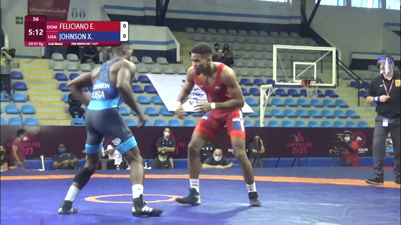 GOLD GR - 67 kg: E. FELICIANO (DOM) v. X. JOHNSON (USA) background