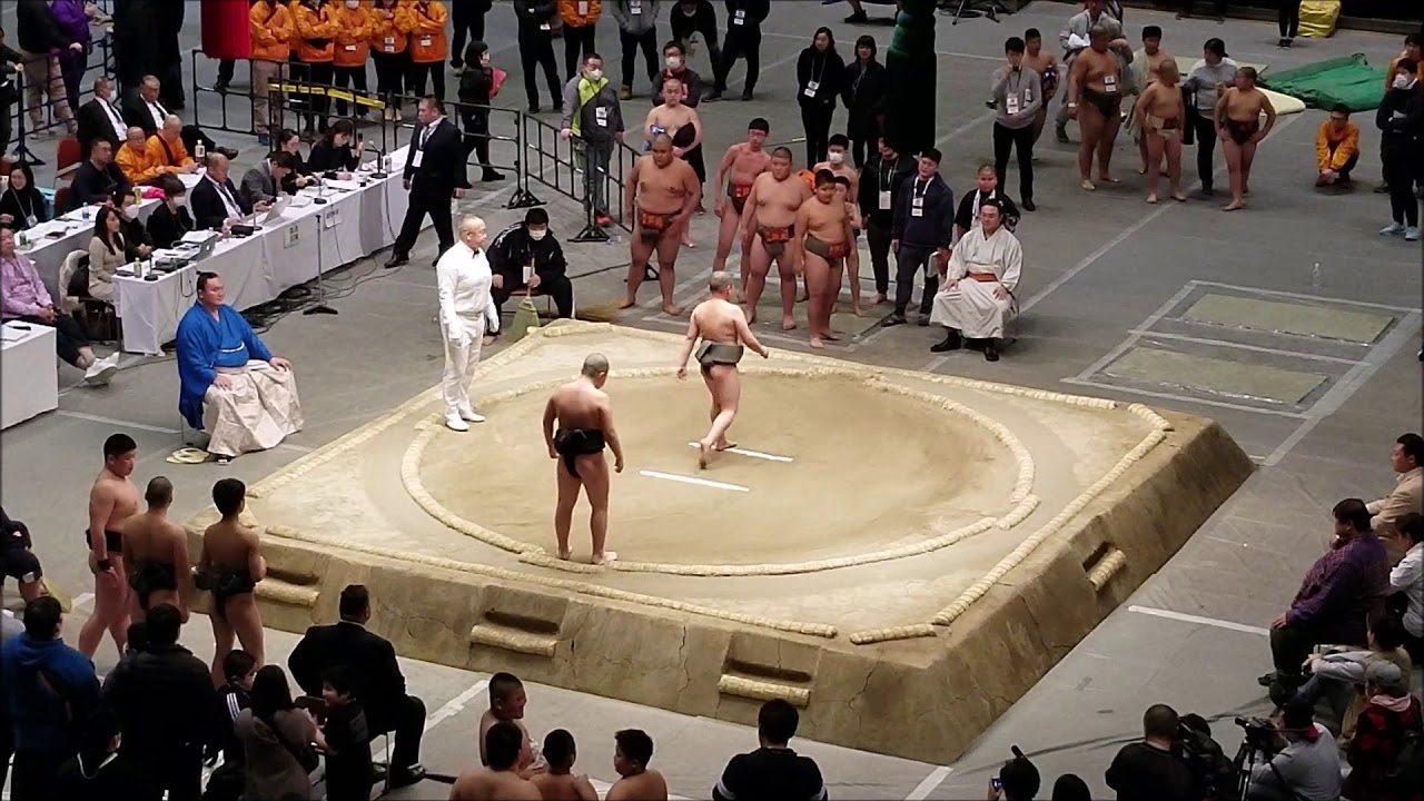Hakuho Cup 2020: Team Final