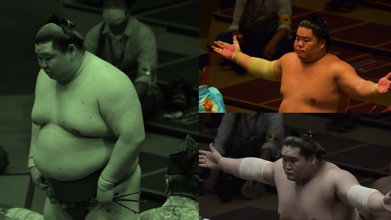(Mar 3rd) Daieisho, Terunofuji, Shodai, Hakuho latest