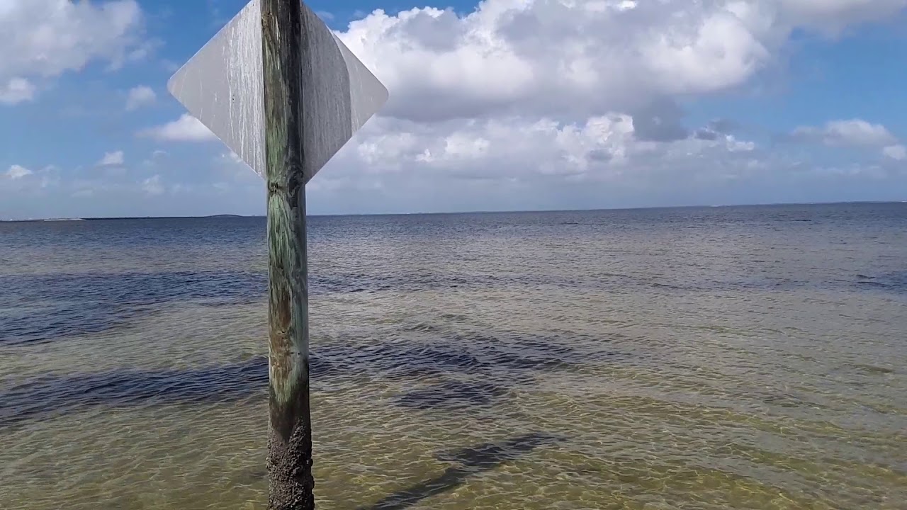 Cypress Point Park in Tampa, FL