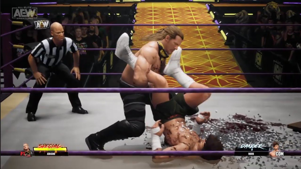 Chris Jerchio vs Hook. FTW Title Match Dynasty. AEW: Fight Forever background