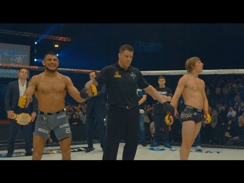 Warrior Series: CW82 background