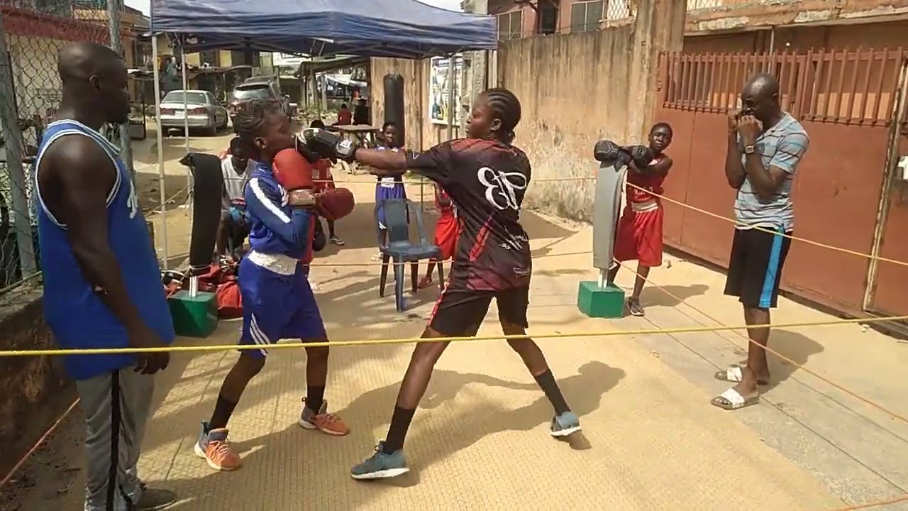 THE JUNIOR BOXERS. background