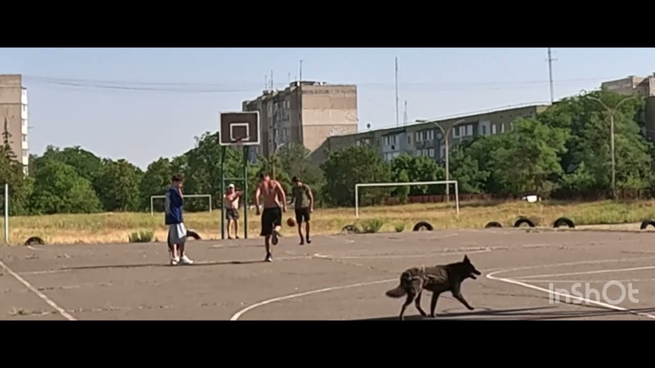 Два против одного , 8 июля 2025 г.