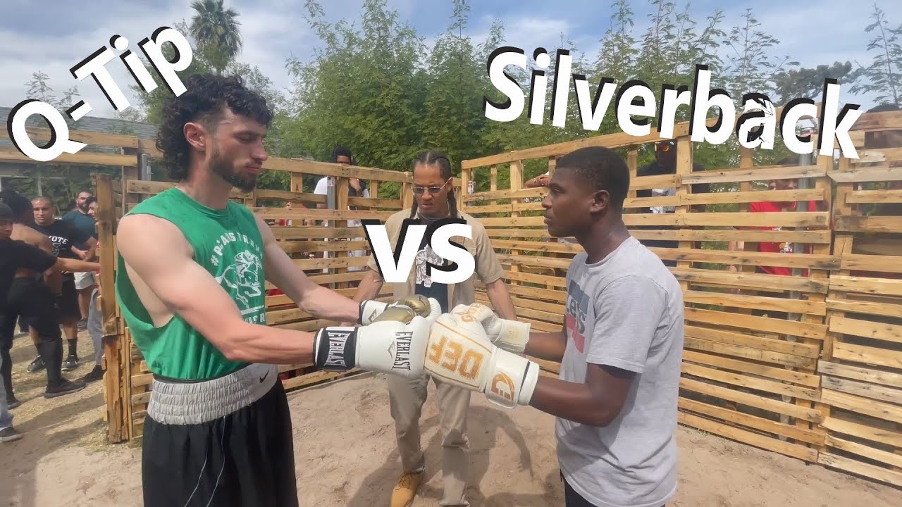 Q Tip vs Silverback | SBWC15 The Hotbox
