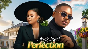 disguised perfection