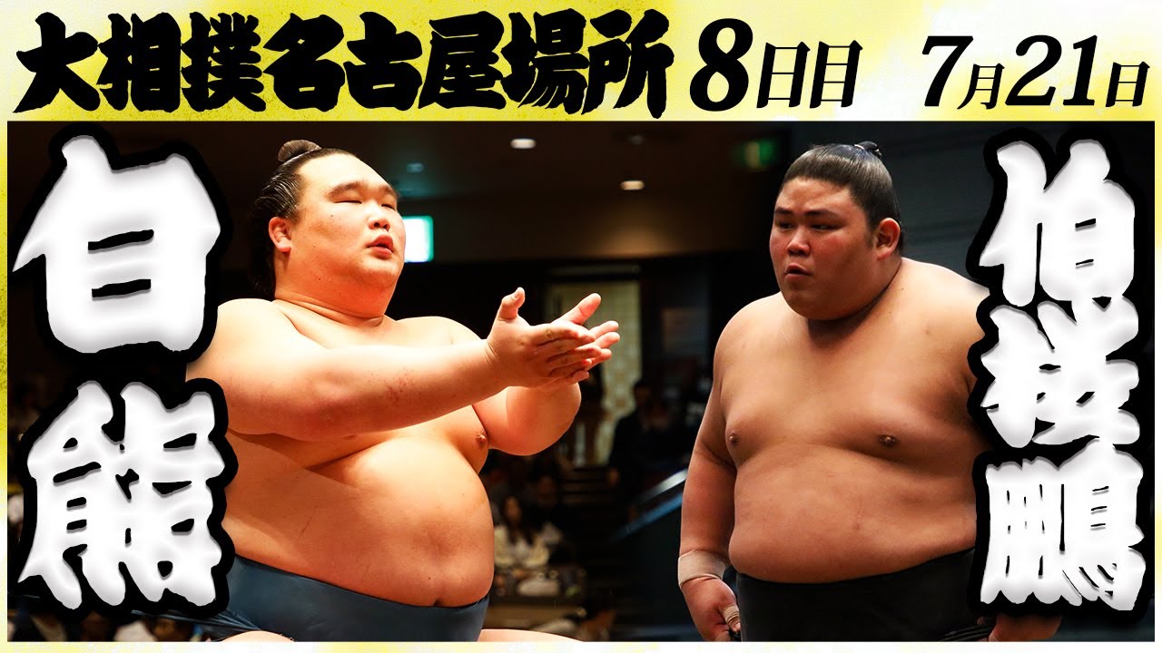 大相撲 白熊ー伯桜鵬<令和6年名古屋場所・八日目>SUMO