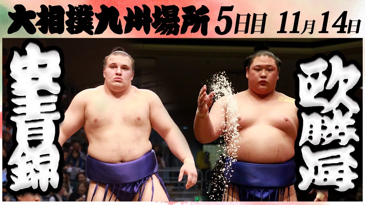 大相撲 安青錦ー欧勝海 <令和6年九州場所・5日目>SUMO background