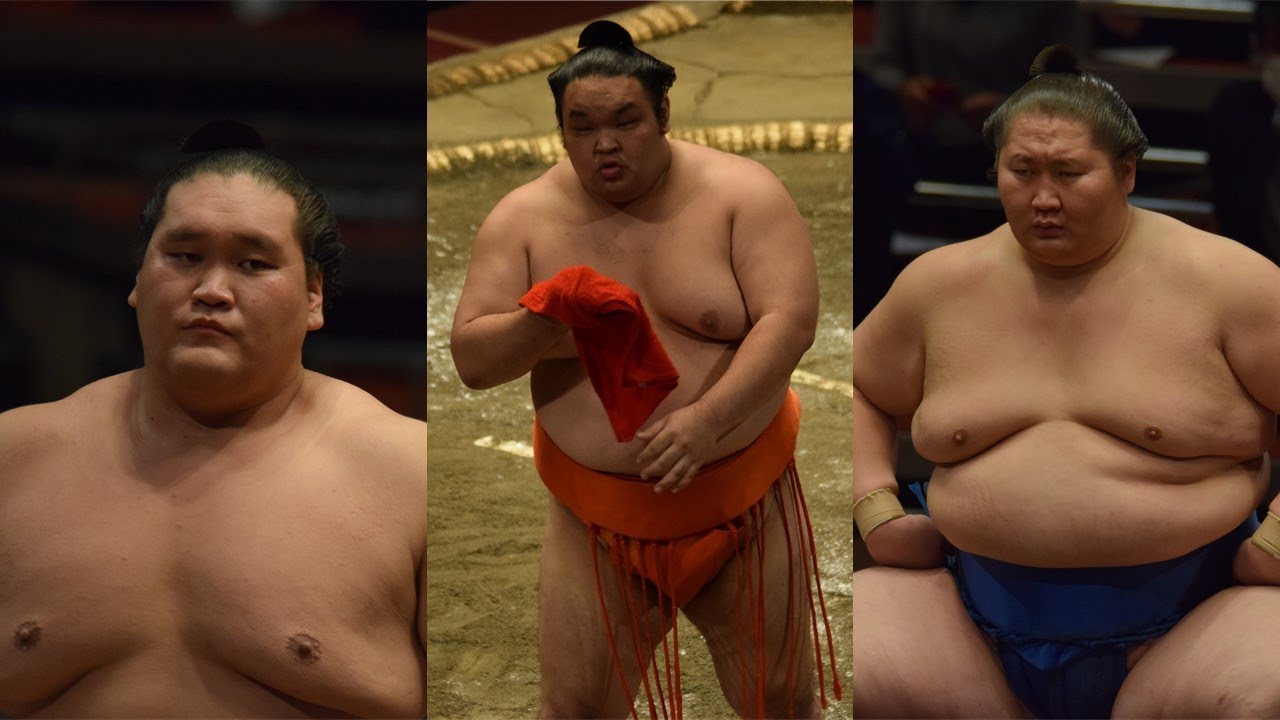 They came to Japan on the same plane... (Terunofuji, Ichinojo & Mitoryu) background