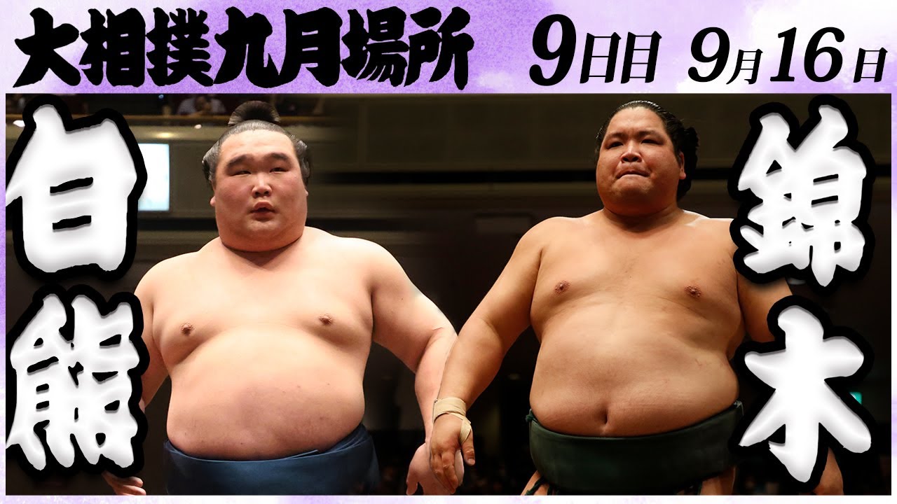 大相撲 白熊ー錦木 <令和6年九月場所・9日目>SUMO