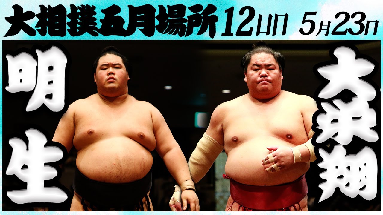 大相撲 明生ー大栄翔<令和6年五月場所12日目>SUMO
