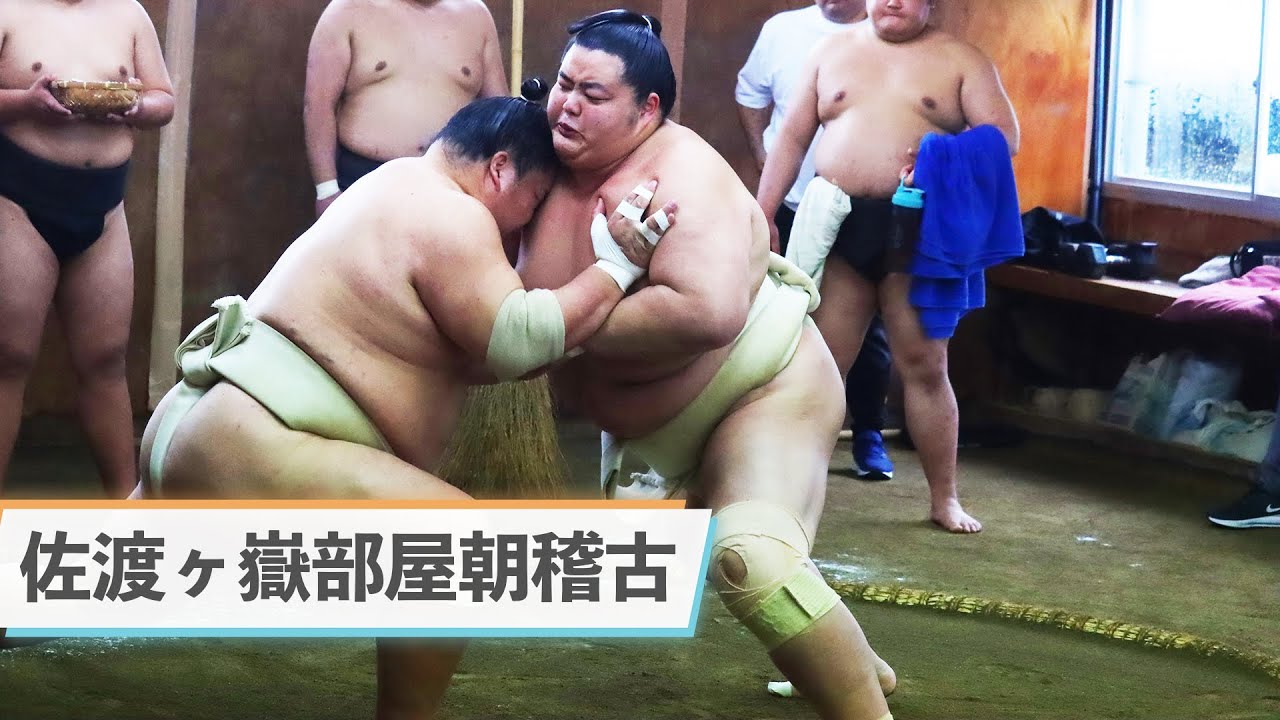 <三月場所前稽古>佐渡ヶ嶽部屋稽古 琴櫻、琴勝峰、琴栄峰、王鵬、大栄翔、豪ノ山、錦木