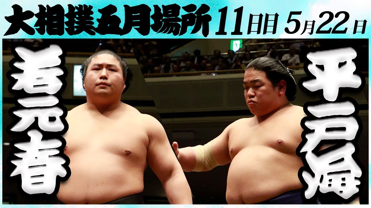 大相撲 若元春ー平戸海 <令和6年五月場所・11日目>SUMO background
