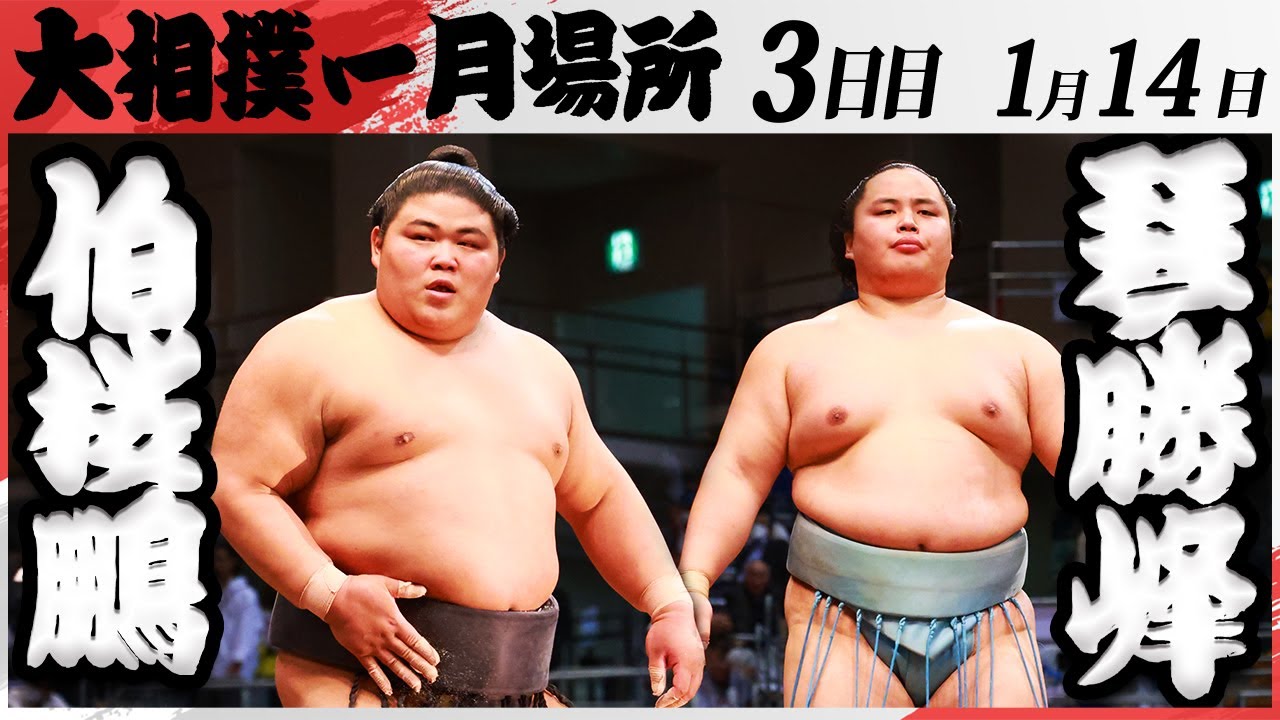 大相撲 伯桜鵬ー琴勝峰 <令和7年一月場所・3日目>SUMO background
