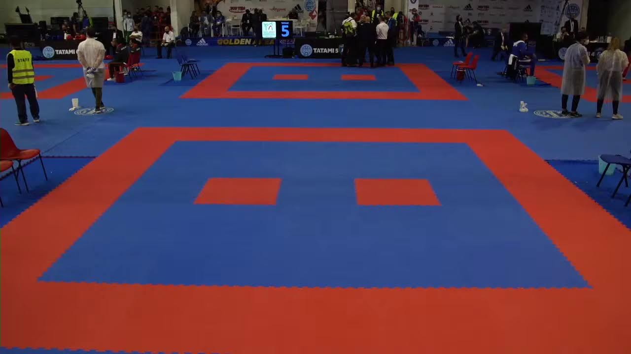 Tatami 2 WAKO World Championships 2021 background