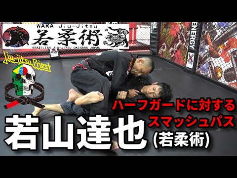 【テクニック】若山達也 / ハーフガードに対するスマッシュパス background