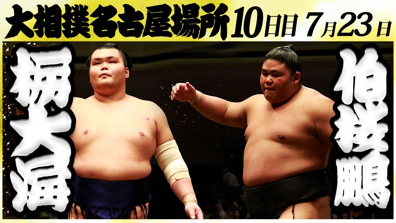 大相撲 栃大海ー伯桜鵬 <令和6年名古屋場所・10日目>SUMO