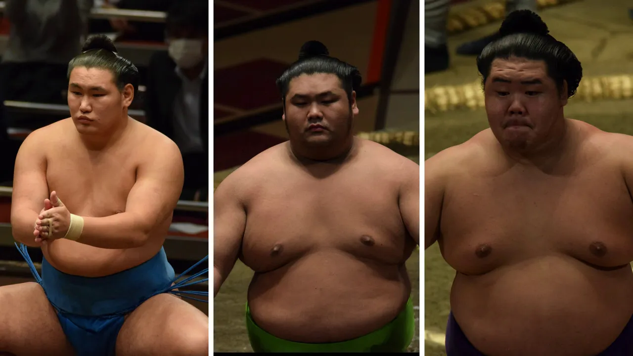Why Meisei and Akua deserve your support background