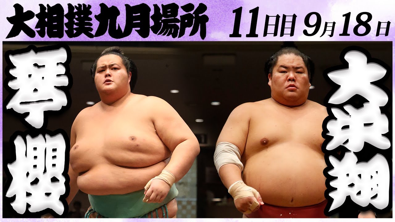 大相撲 琴櫻ー大栄翔<令和6年九月場所・11日目>SUMO