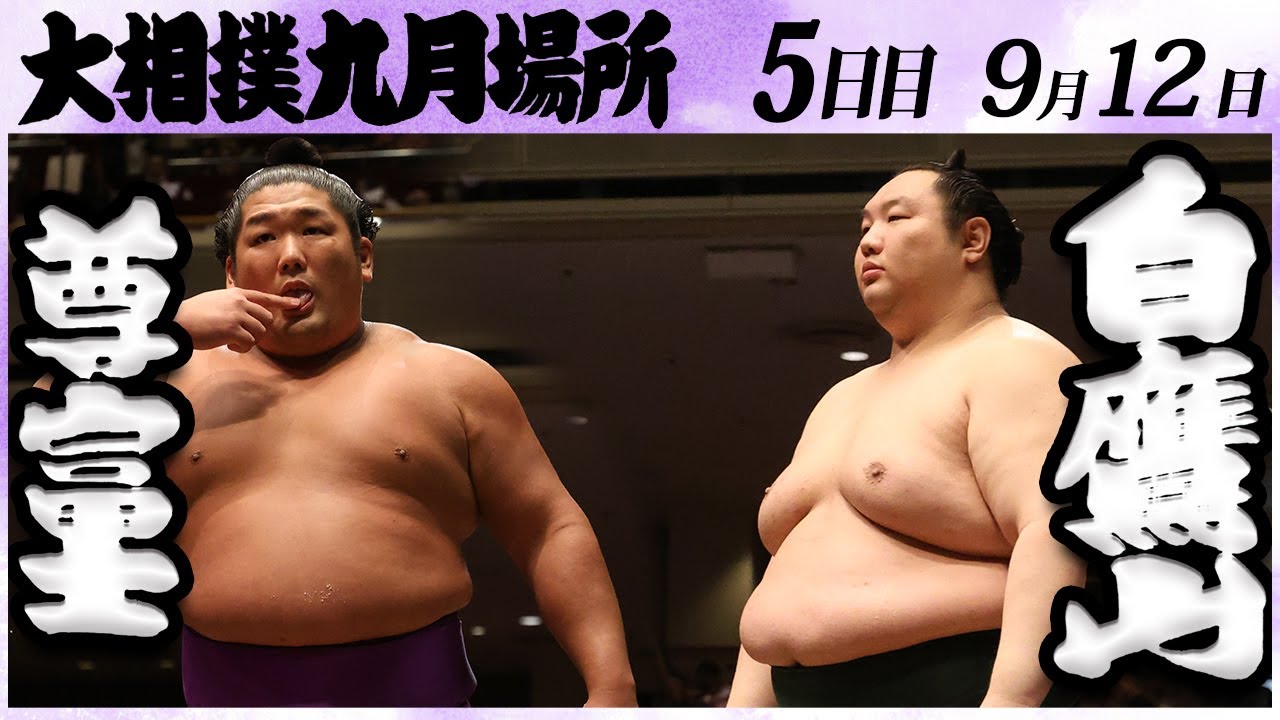 大相撲 尊富士ー白鷹山<令和6年九月場所・五日目>SUMO background